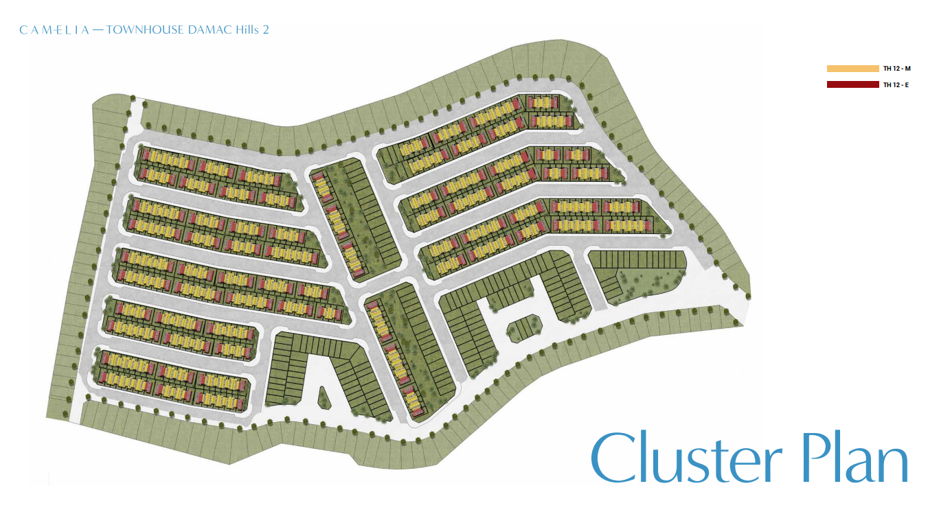 Camelia Project Plan